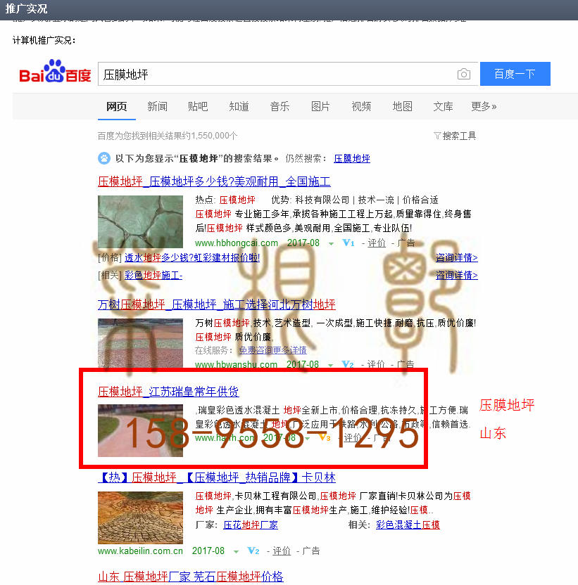 苏州竞价网站托管优化推广公司，菜根谭网络科技有限公司查询瑞皇关键词排名8月14日推广实况案例（4）