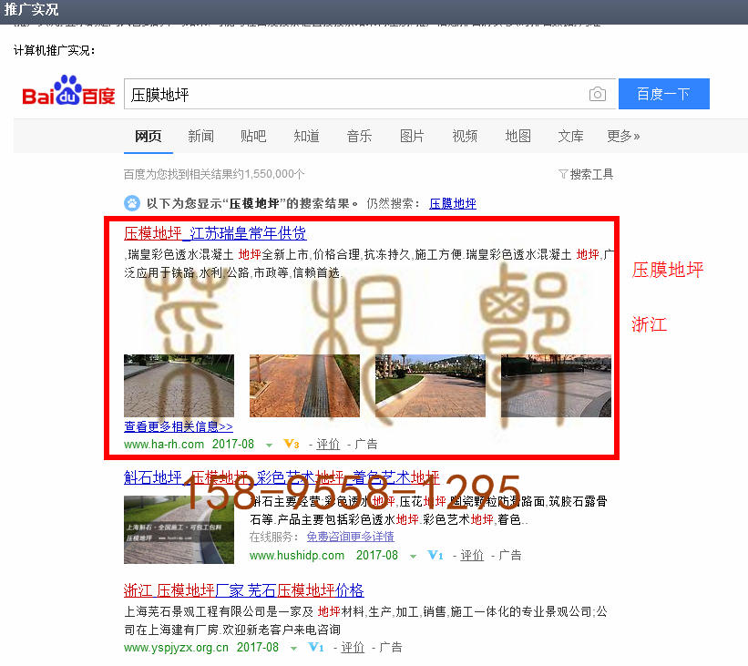 苏州竞价网站托管优化推广公司，菜根谭网络科技有限公司查询瑞皇关键词排名8月14日推广实况案例（4）