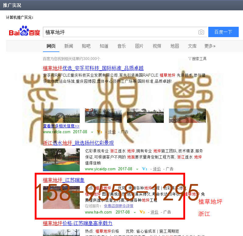 苏州竞价网站托管优化推广公司，菜根谭网络科技有限公司查询瑞皇关键词排名8月28日推广实况案例（1）