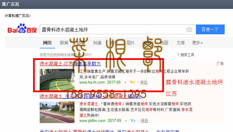 苏州竞价网站托管优化推广公司，菜根谭网络科技有限公司查询瑞皇关键词排名9月4日推广实况案例（2）