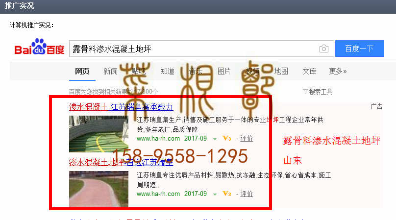 苏州竞价网站托管优化推广公司，菜根谭网络科技有限公司查询瑞皇关键词排名9月4日推广实况案例（2）