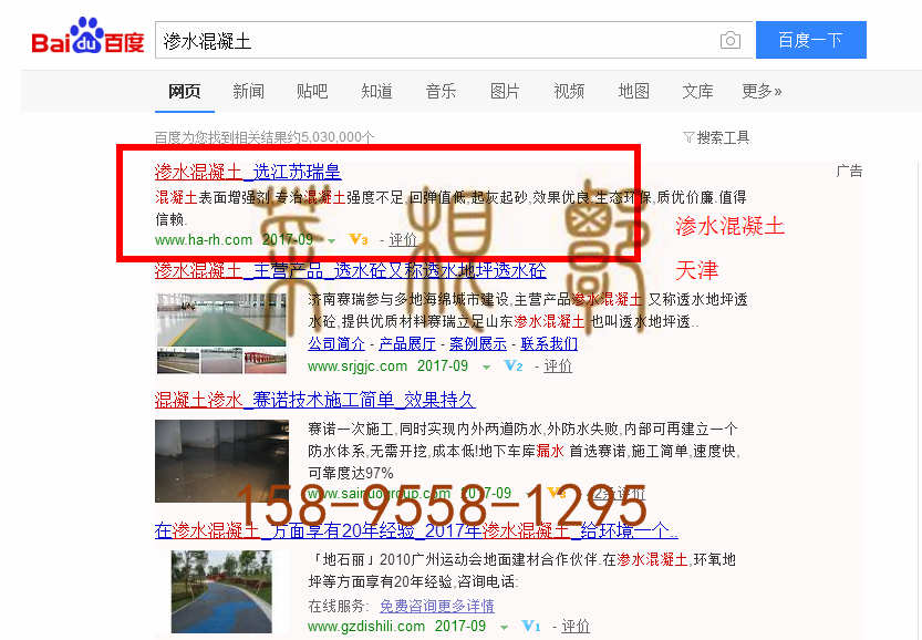 苏州网站托管优化推广公司，菜根谭网络科技有限公司查询瑞皇关键词排名9月11日推广实况案例（1）