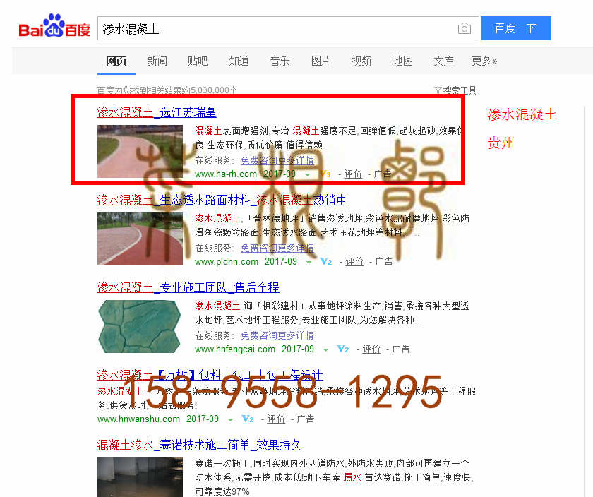 苏州网站托管优化推广公司，菜根谭网络科技有限公司查询瑞皇关键词排名9月11日推广实况案例（1）