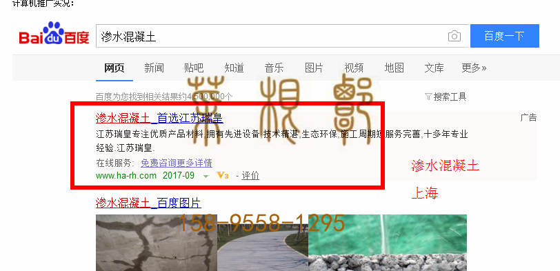 苏州竞价网站托管优化推广公司，菜根谭网络科技有限公司查询瑞皇关键词排名9月26日推广实况案例（2）