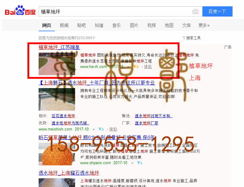 苏州竞价网站托管优化推广公司，菜根谭网络科技有限公司查询瑞皇关键词排名10月10日推广实况案例（2）