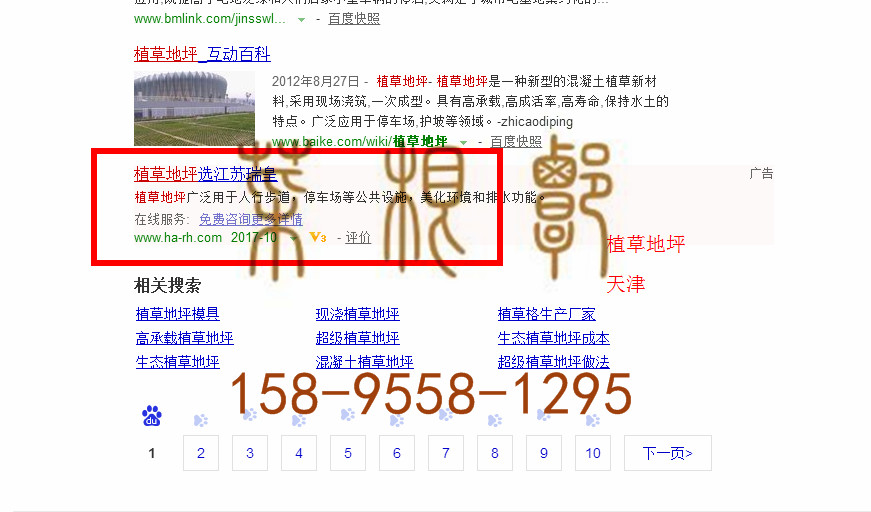 苏州竞价网站托管优化推广公司，菜根谭网络科技有限公司查询瑞皇关键词排名10月10日推广实况案例（2）