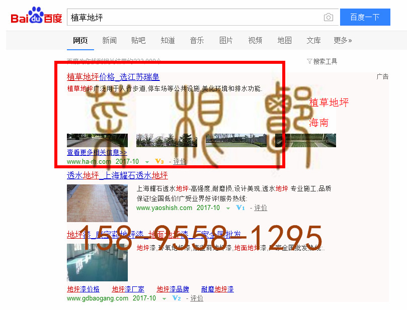 苏州竞价网站托管优化推广公司，菜根谭网络科技有限公司查询瑞皇关键词排名10月10日推广实况案例（2）