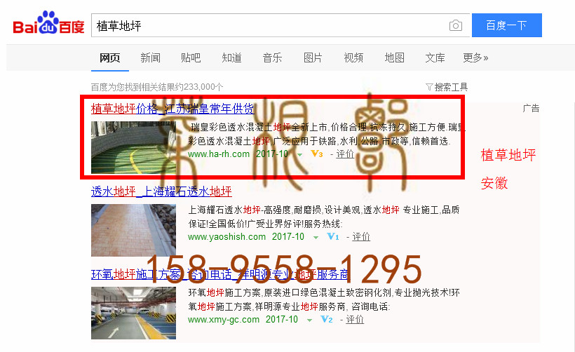 苏州竞价网站托管优化推广公司，菜根谭网络科技有限公司查询瑞皇关键词排名10月10日推广实况案例（2）