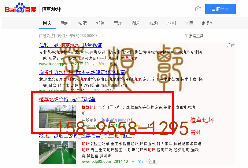 苏州竞价网站托管优化推广公司，菜根谭网络科技有限公司查询瑞皇关键词排名10月10日推广实况案例（2）
