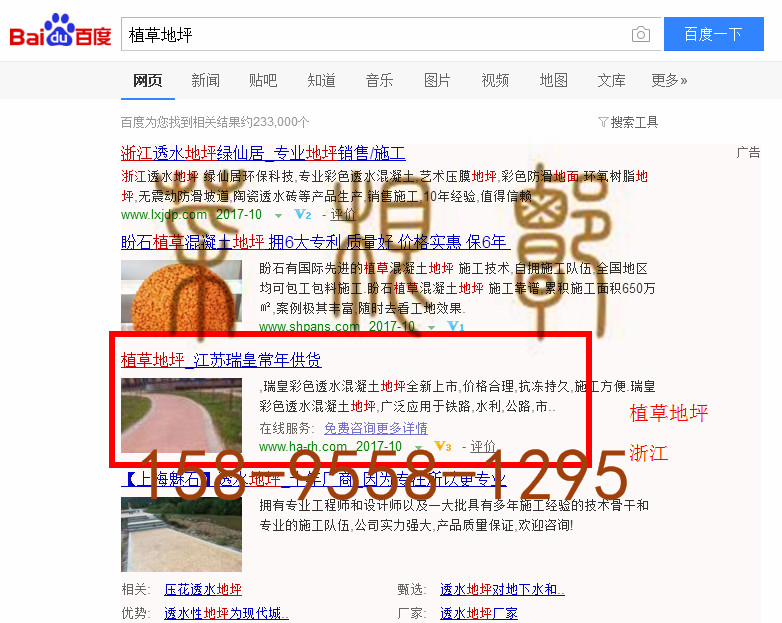 苏州竞价网站托管优化推广公司，菜根谭网络科技有限公司查询瑞皇关键词排名10月10日推广实况案例（2）