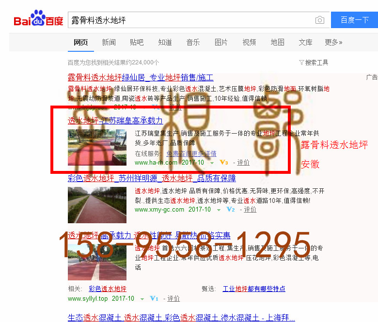 苏州竞价网站托管优化推广公司，菜根谭网络科技有限公司查询瑞皇关键词排名10月10日推广实况案例（3）