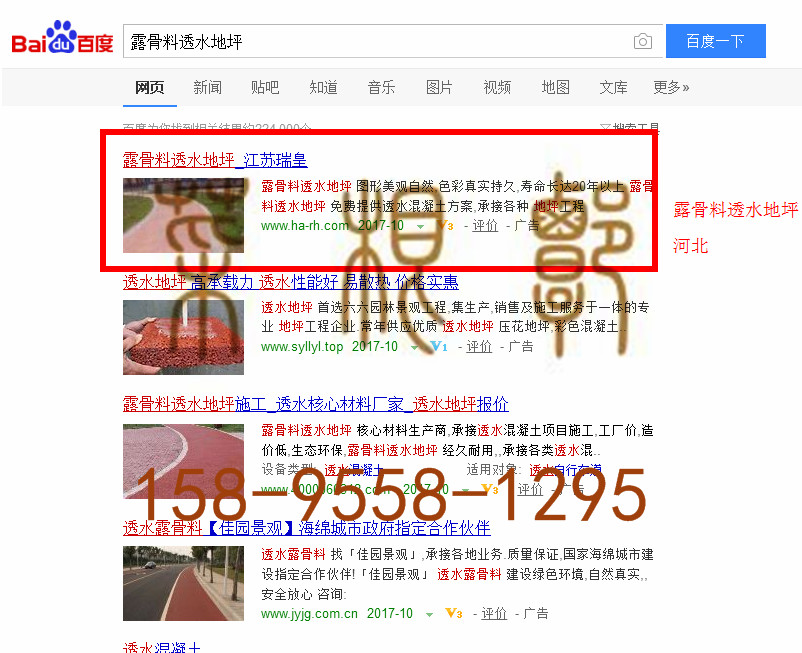苏州竞价网站托管优化推广公司，菜根谭网络科技有限公司查询瑞皇关键词排名10月10日推广实况案例（3）