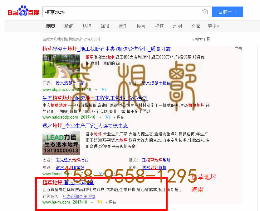 苏州竞价网站托管优化推广公司，菜根谭网络科技有限公司查询瑞皇关键词排名10月16日推广实况案例（2）