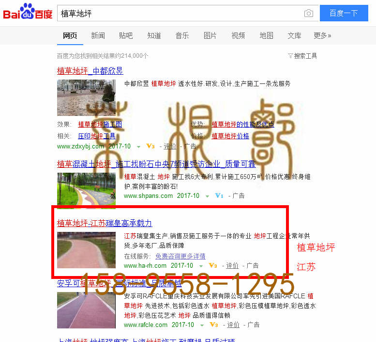 苏州竞价网站托管优化推广公司，菜根谭网络科技有限公司查询瑞皇关键词排名10月16日推广实况案例（2）