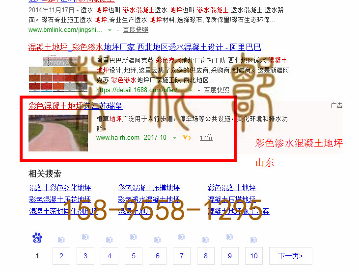 苏州网站托管优化推广公司，菜根谭网络科技有限公司查询瑞皇关键词排名10月20日推广实况案例（2）