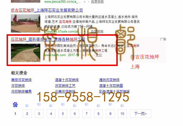 苏州网站托管优化推广公司，菜根谭网络科技有限公司查询瑞皇关键词排名10月20日推广实况案例（2）