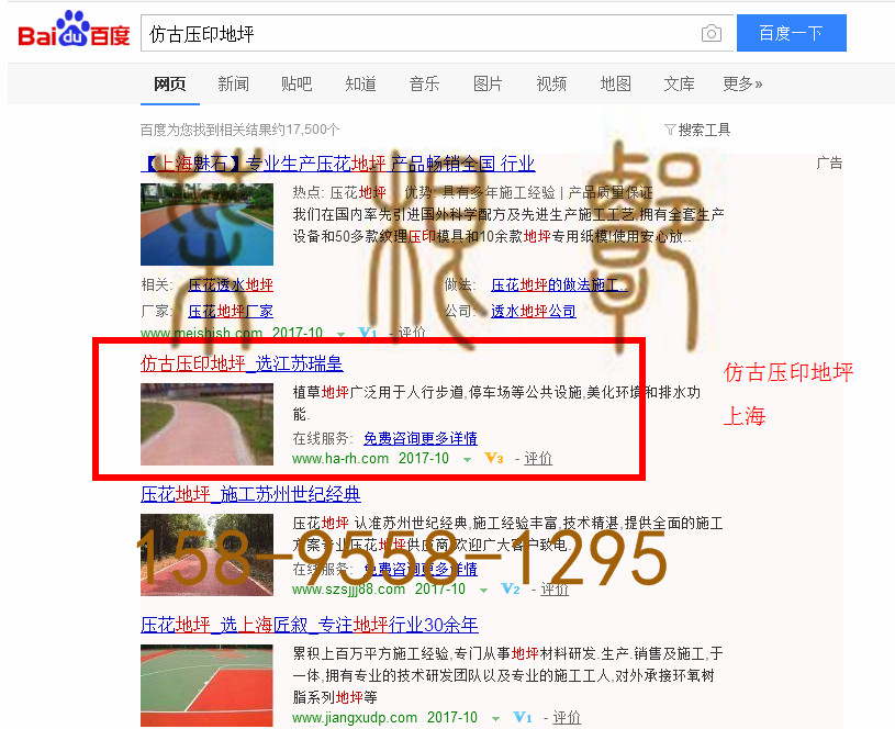 苏州网站托管优化推广公司，菜根谭网络科技有限公司查询瑞皇关键词排名10月20日推广实况案例（3）