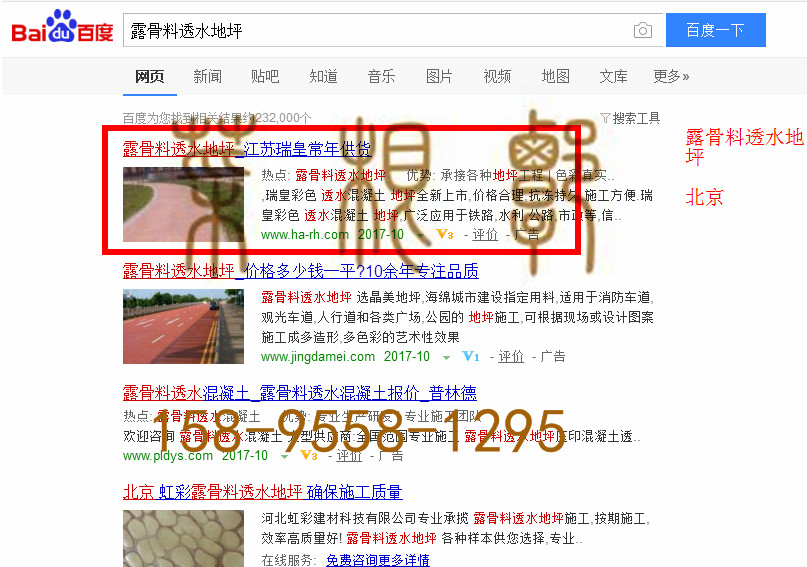 苏州网站托管优化推广公司，菜根谭网络科技有限公司查询瑞皇关键词排名10月20日推广实况案例（4）
