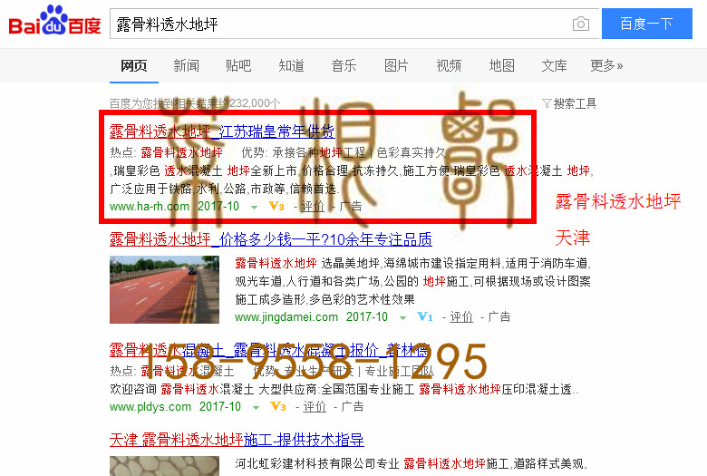 苏州网站托管优化推广公司，菜根谭网络科技有限公司查询瑞皇关键词排名10月20日推广实况案例（4）