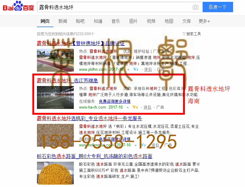 苏州网站托管优化推广公司，菜根谭网络科技有限公司查询瑞皇关键词排名10月20日推广实况案例（4）