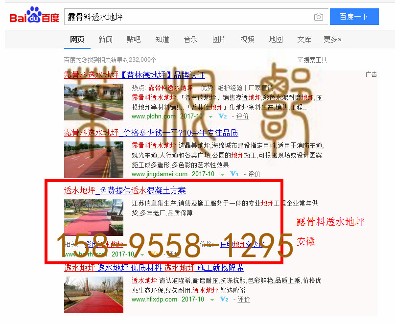 苏州网站托管优化推广公司，菜根谭网络科技有限公司查询瑞皇关键词排名10月20日推广实况案例（4）