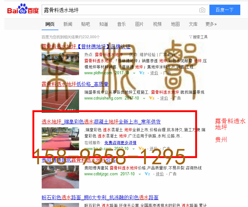 苏州网站托管优化推广公司，菜根谭网络科技有限公司查询瑞皇关键词排名10月20日推广实况案例（4）